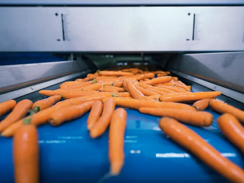 Hygienic, FDA-compliant custom timing belts for food production lines